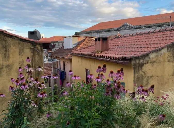 My Little - Charming House In Miragaia, 公寓 *