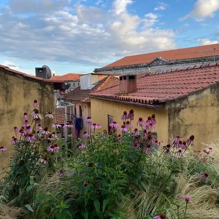 My Little - Charming House In Miragaia, Apartment *